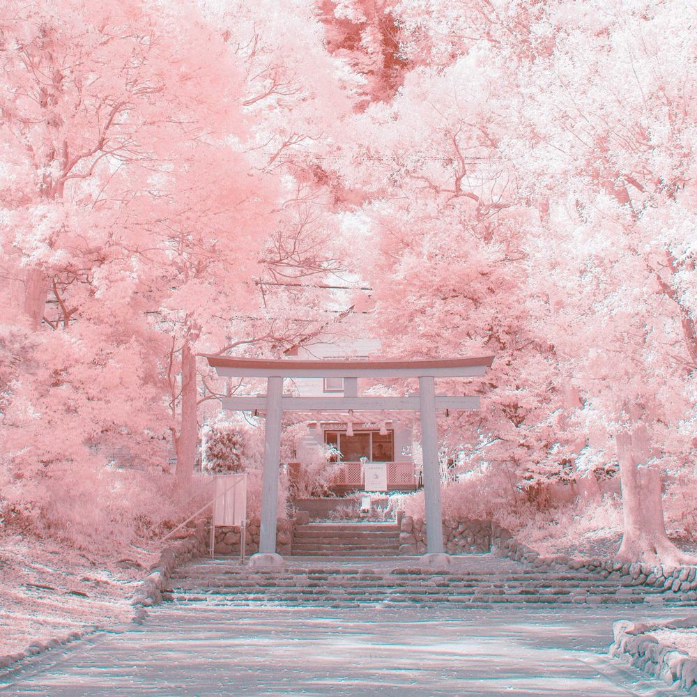 バロン