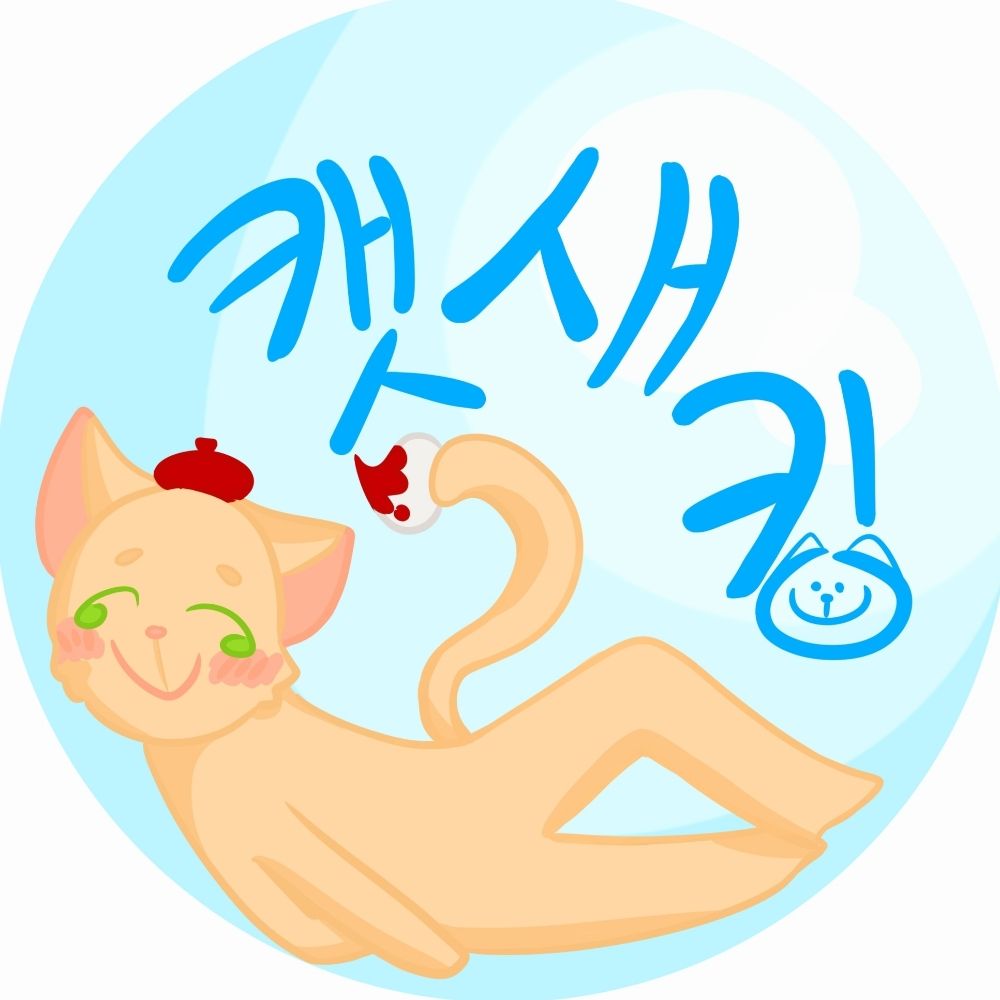 캣새킹⚽