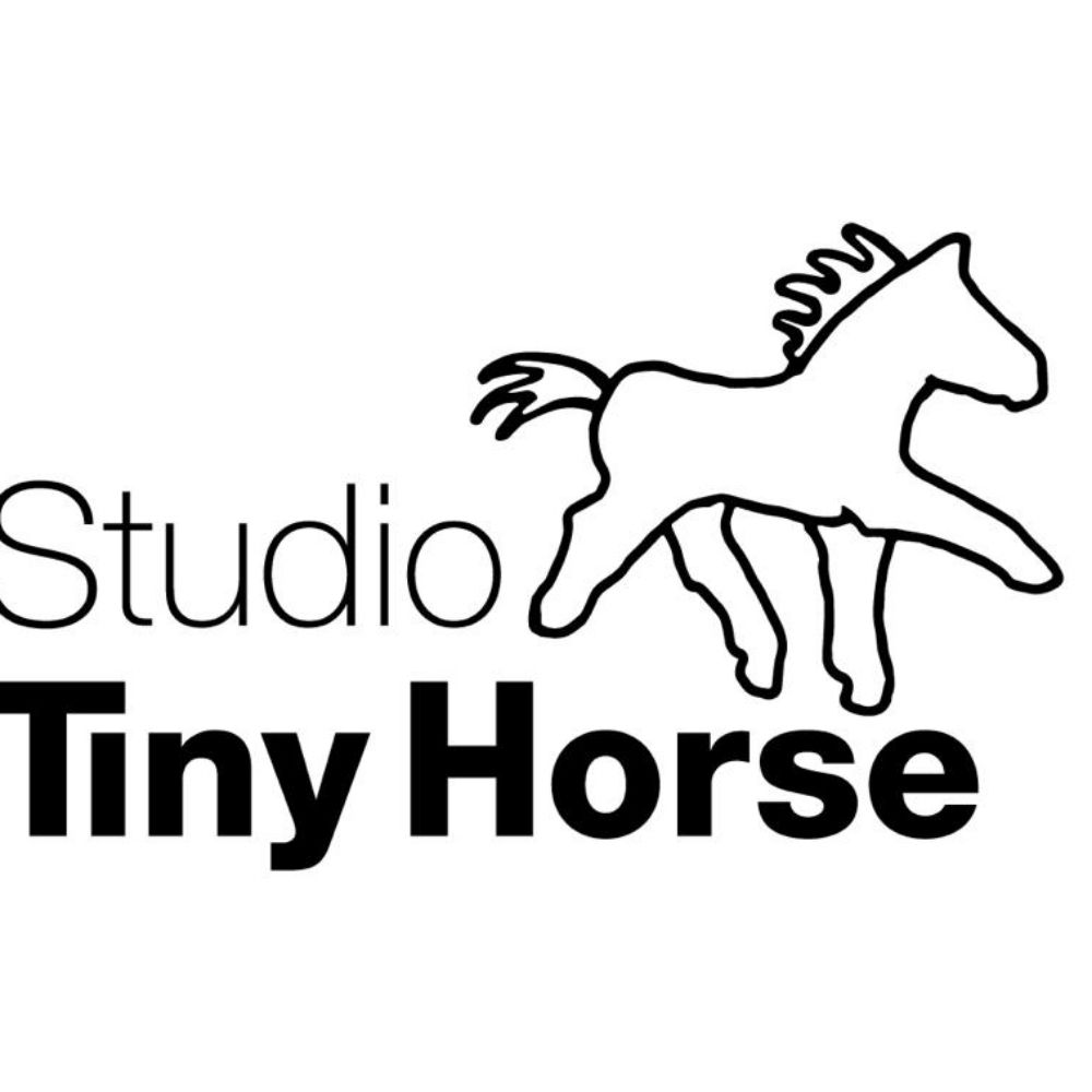 Profile picture studiotinyhorse.bsky.social