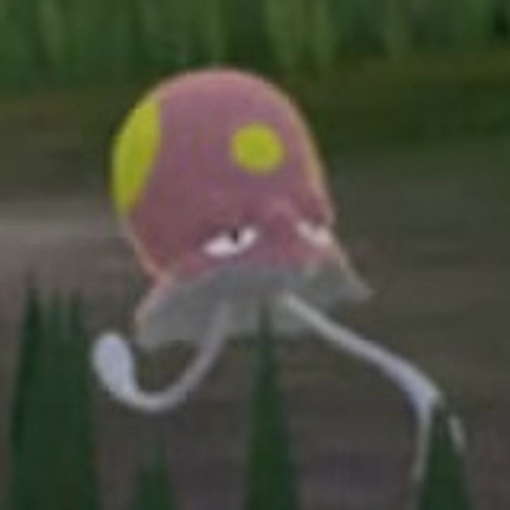 𑁍 𝚂իꜞ٥ᶯ 𑁍