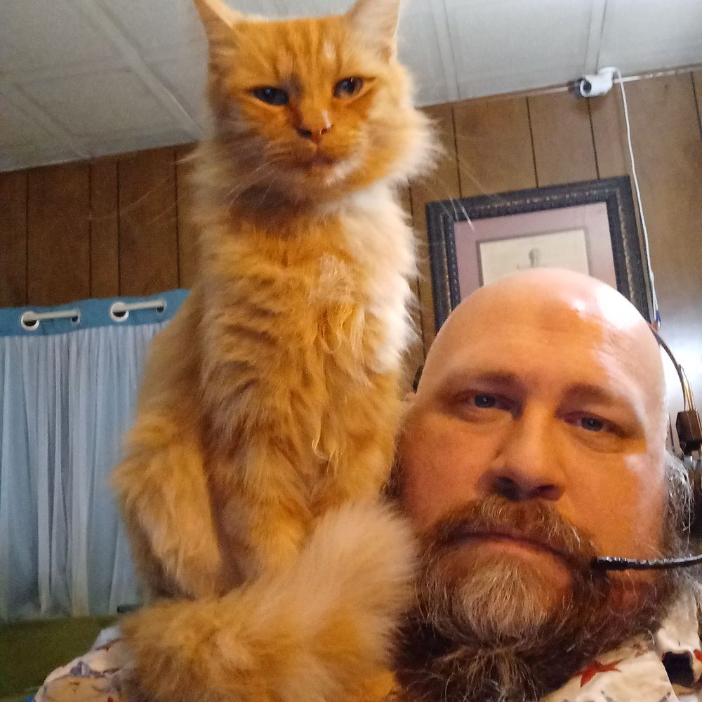 Viking Mike