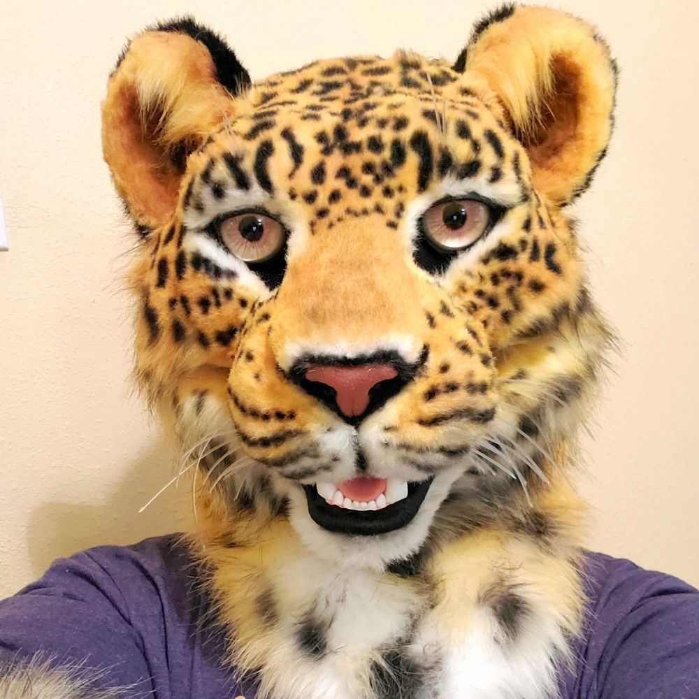 Queso the Leopard