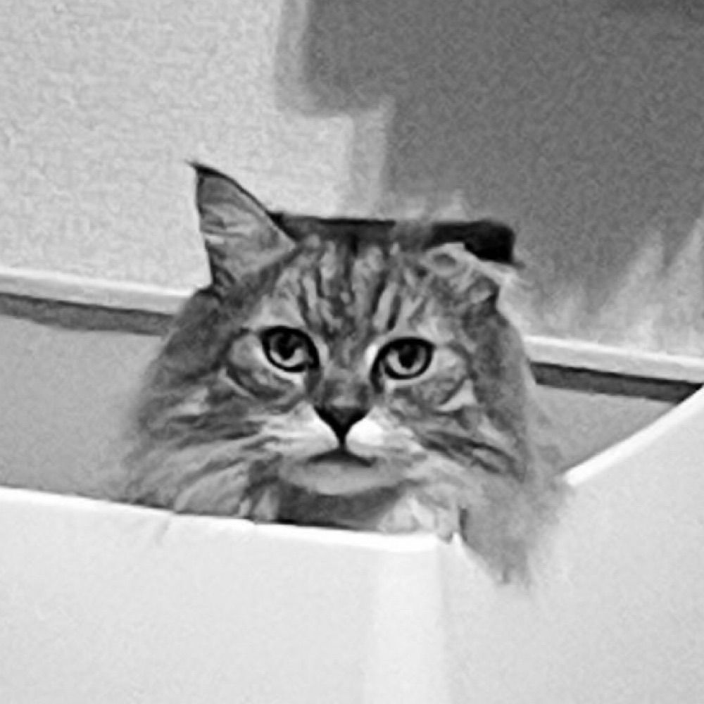 リビドーに逆らう気のないしるべ