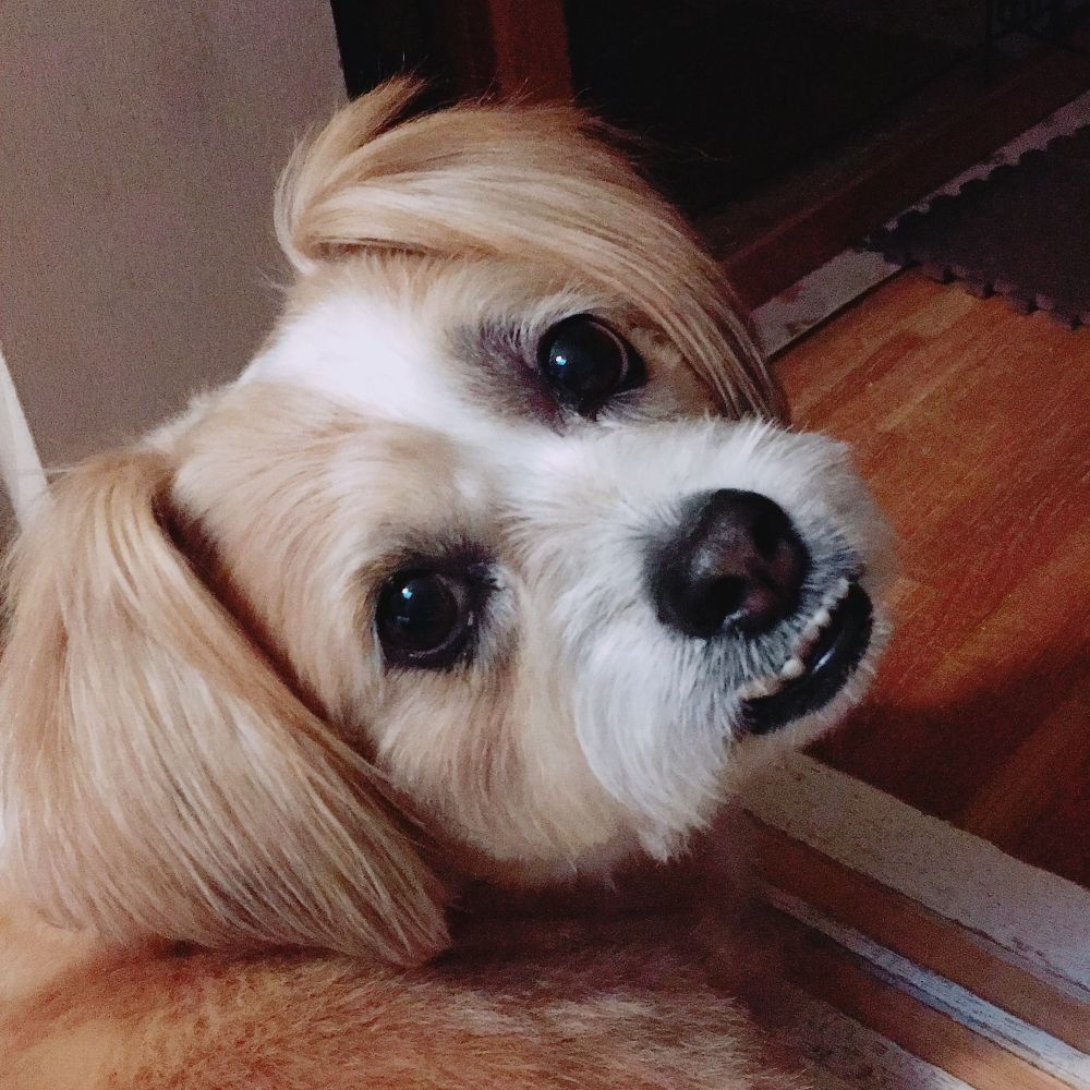 바추 💕