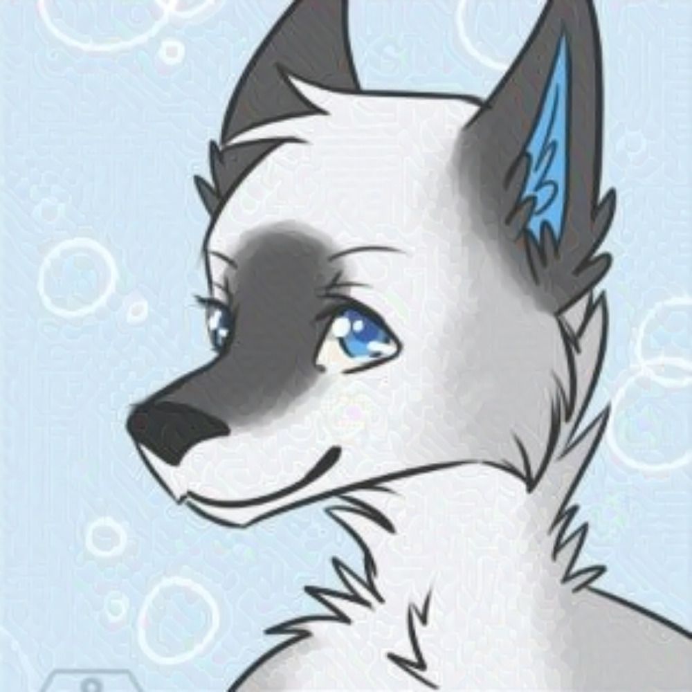 Fuwo's avatar