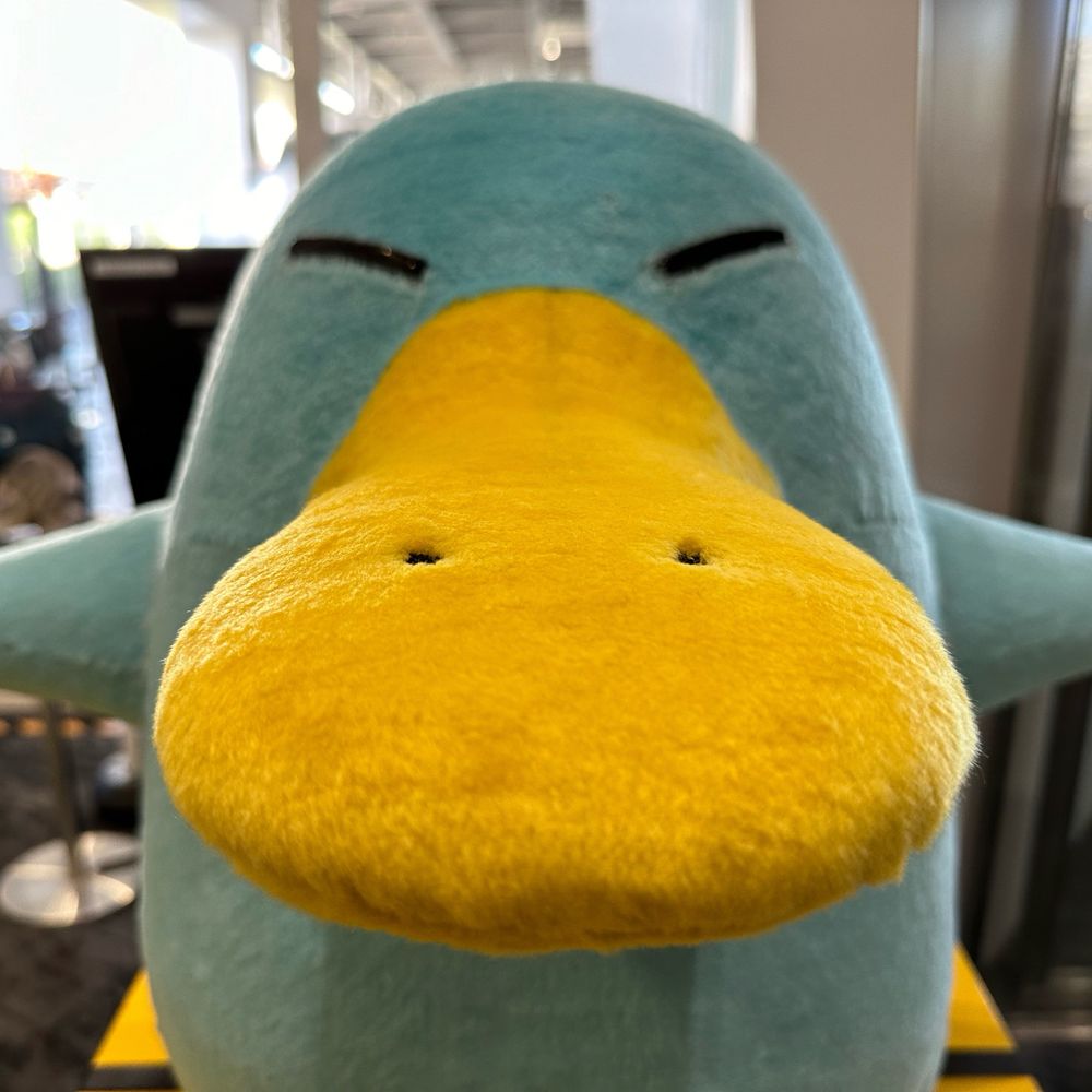 信州産イコカモノハシ