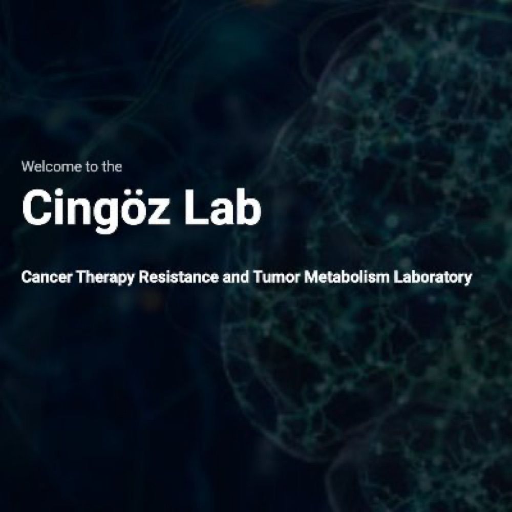 Cingöz Lab