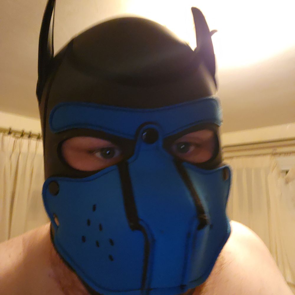Pup Spark
