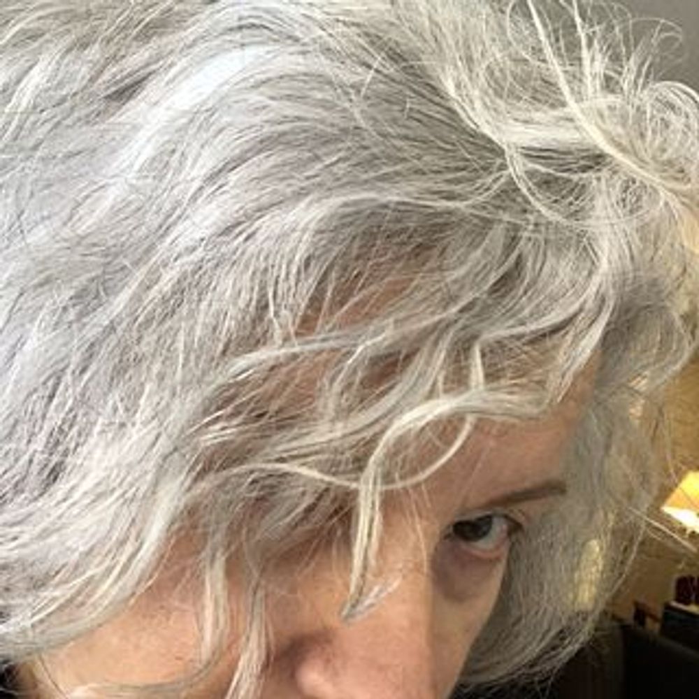Sue Newhook