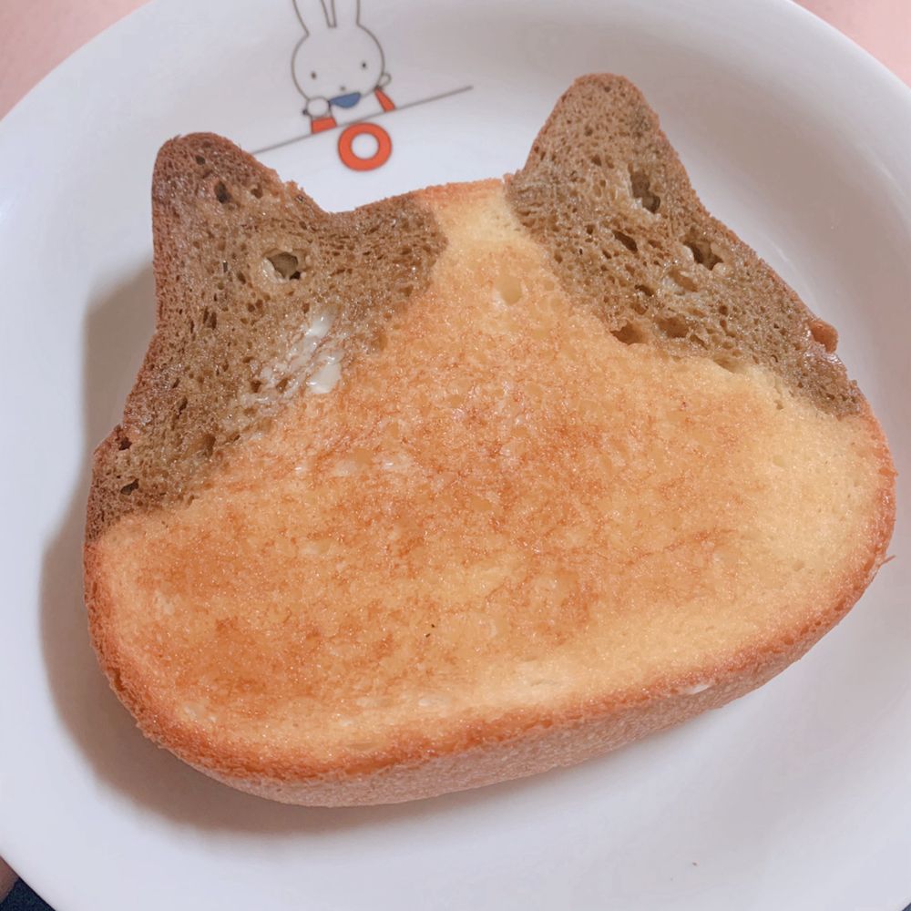 みーた🐻