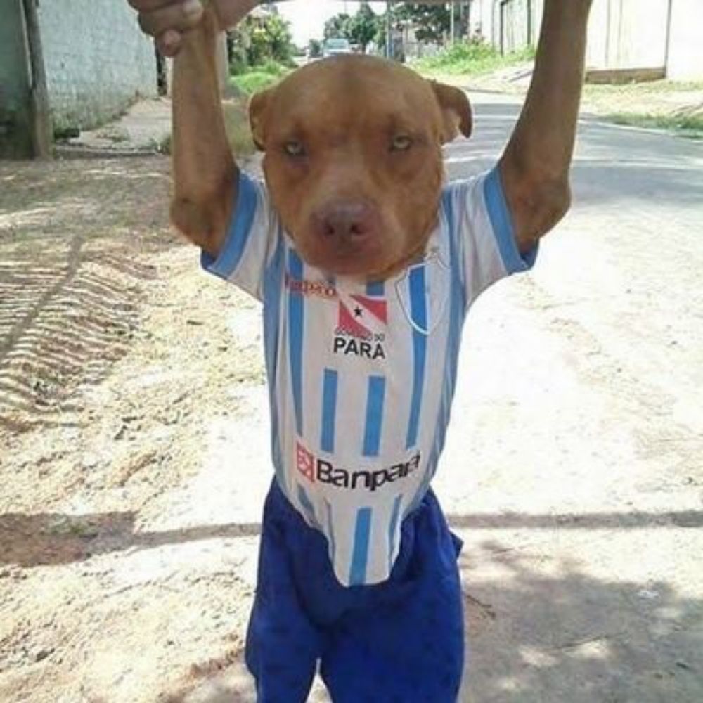bananilson farofa