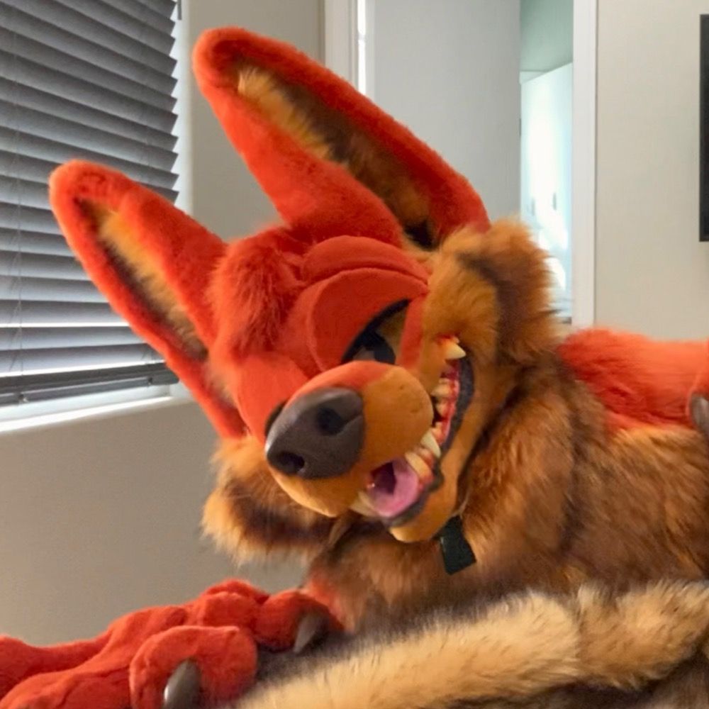 Skippy Coyote