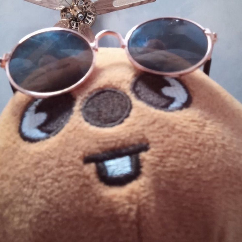 May 🐿️