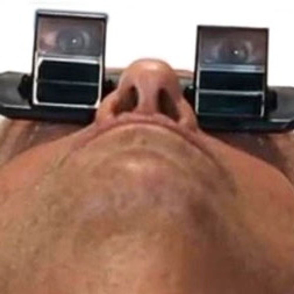 Dan