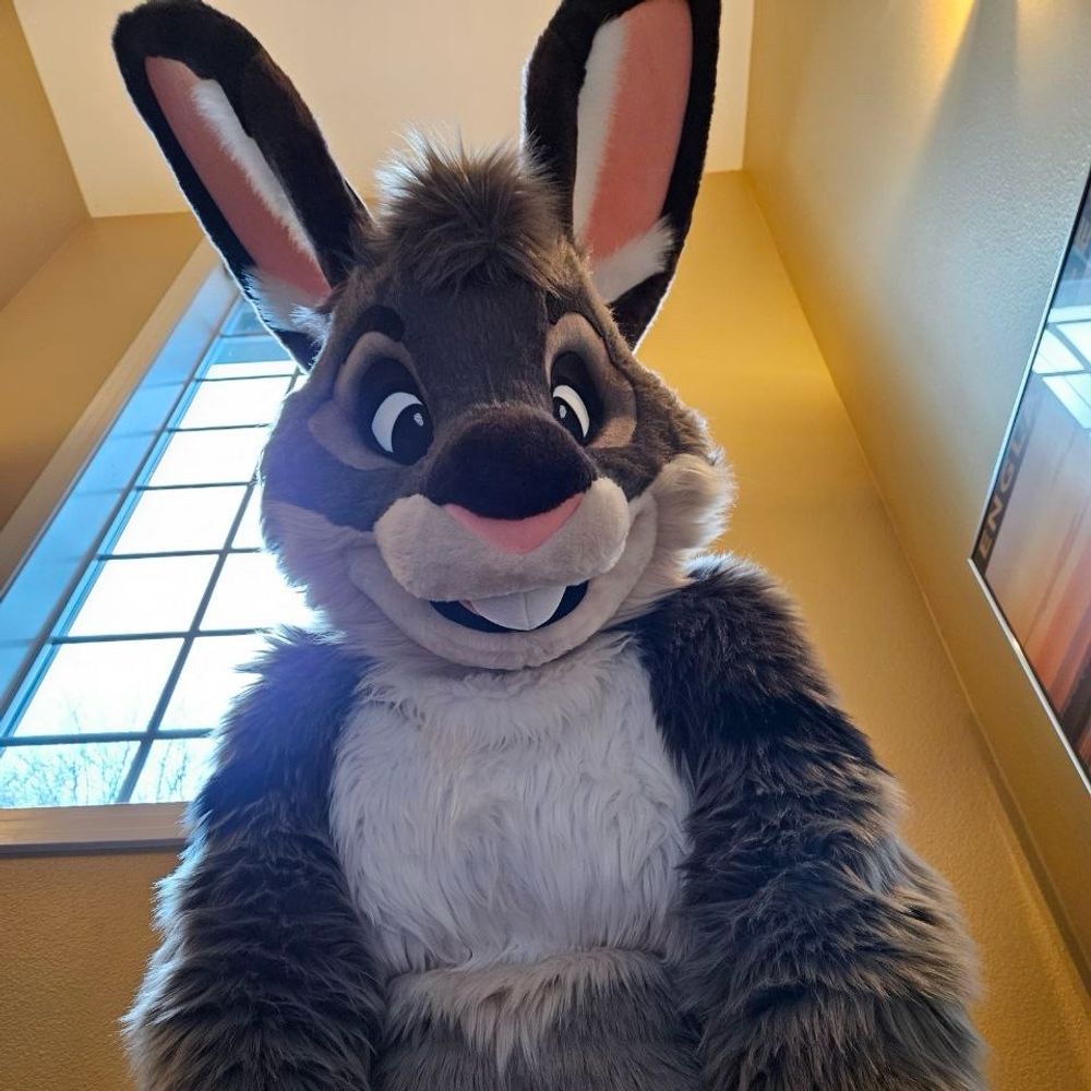Nash Bunny's avatar