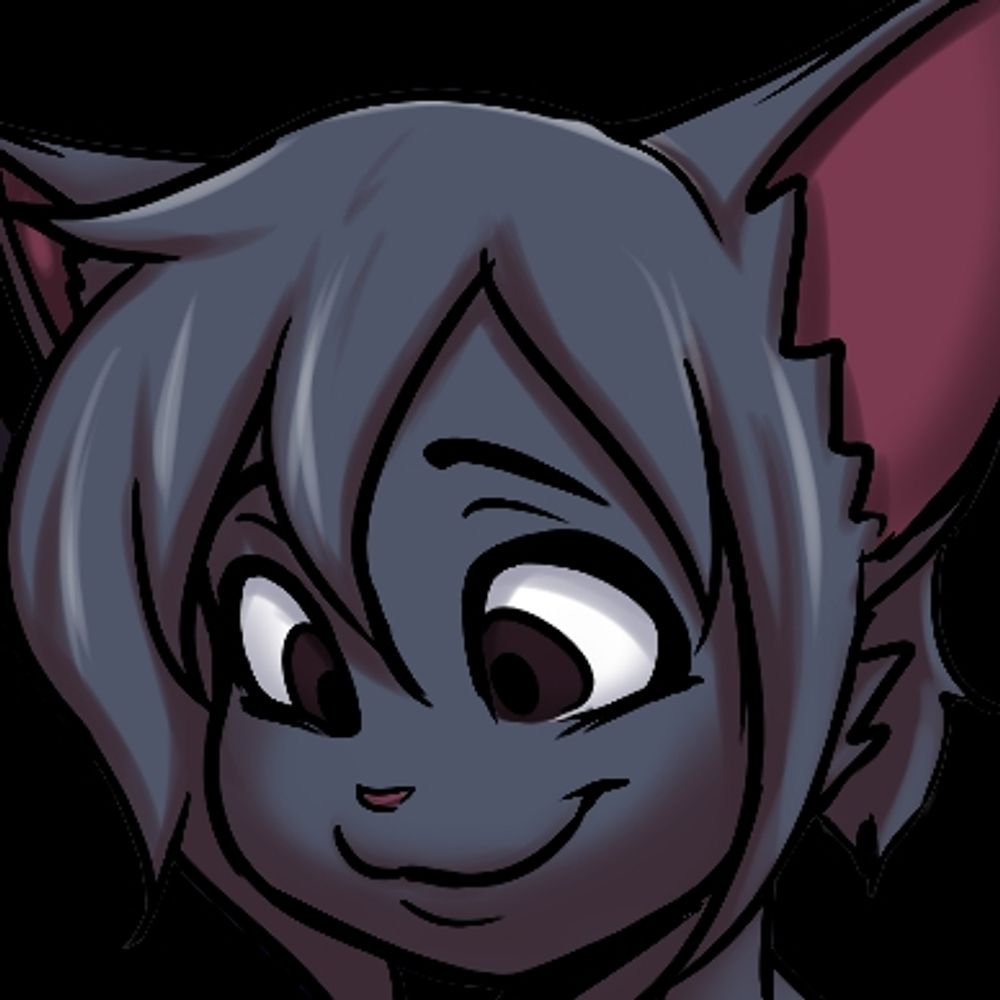 Zenith The Cat