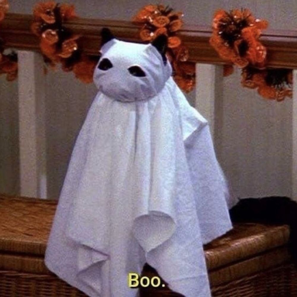 🐈‍⬛Usachan🎃