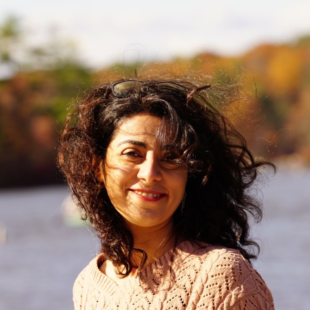 Hanieh Mazloom-Farsibaf