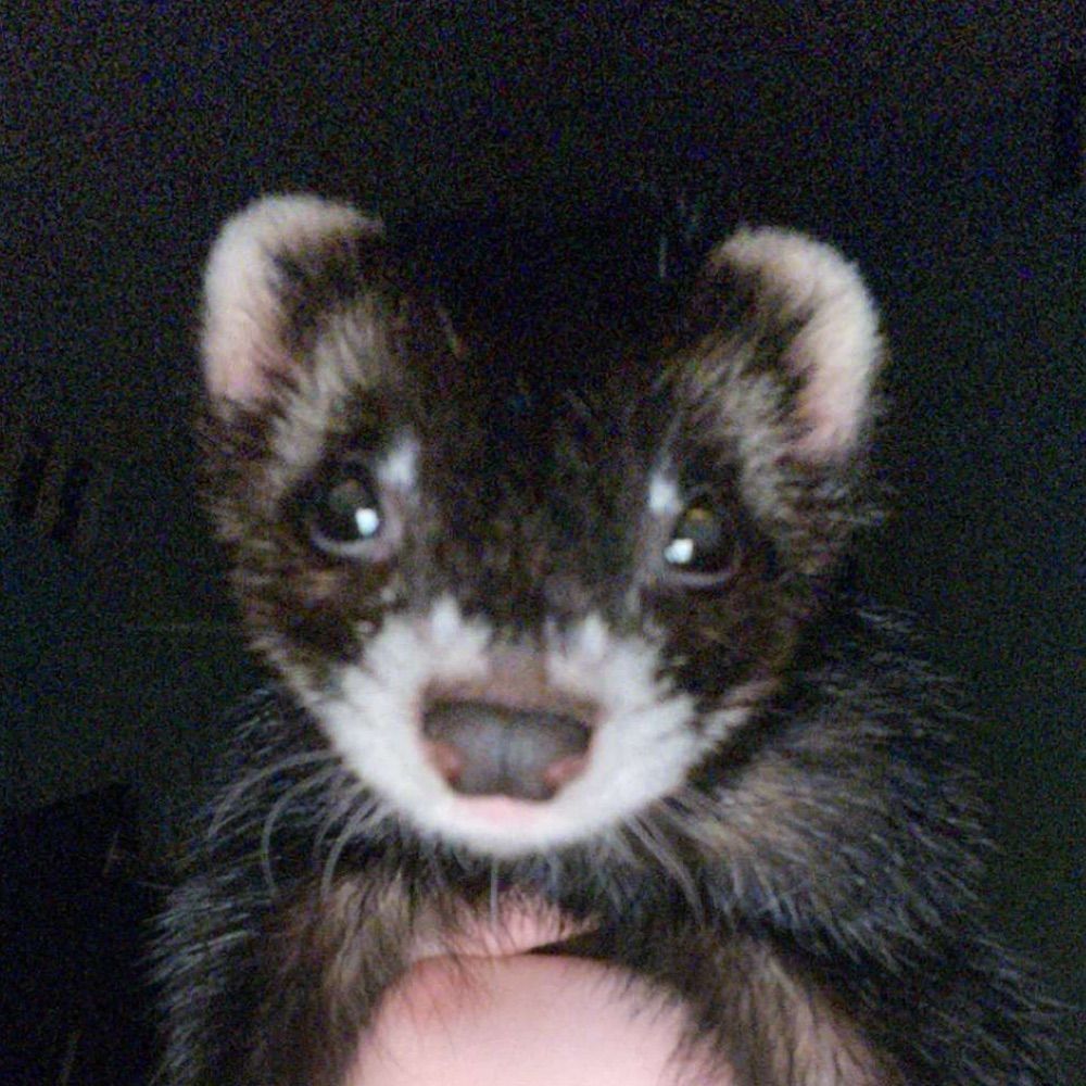 Hunter