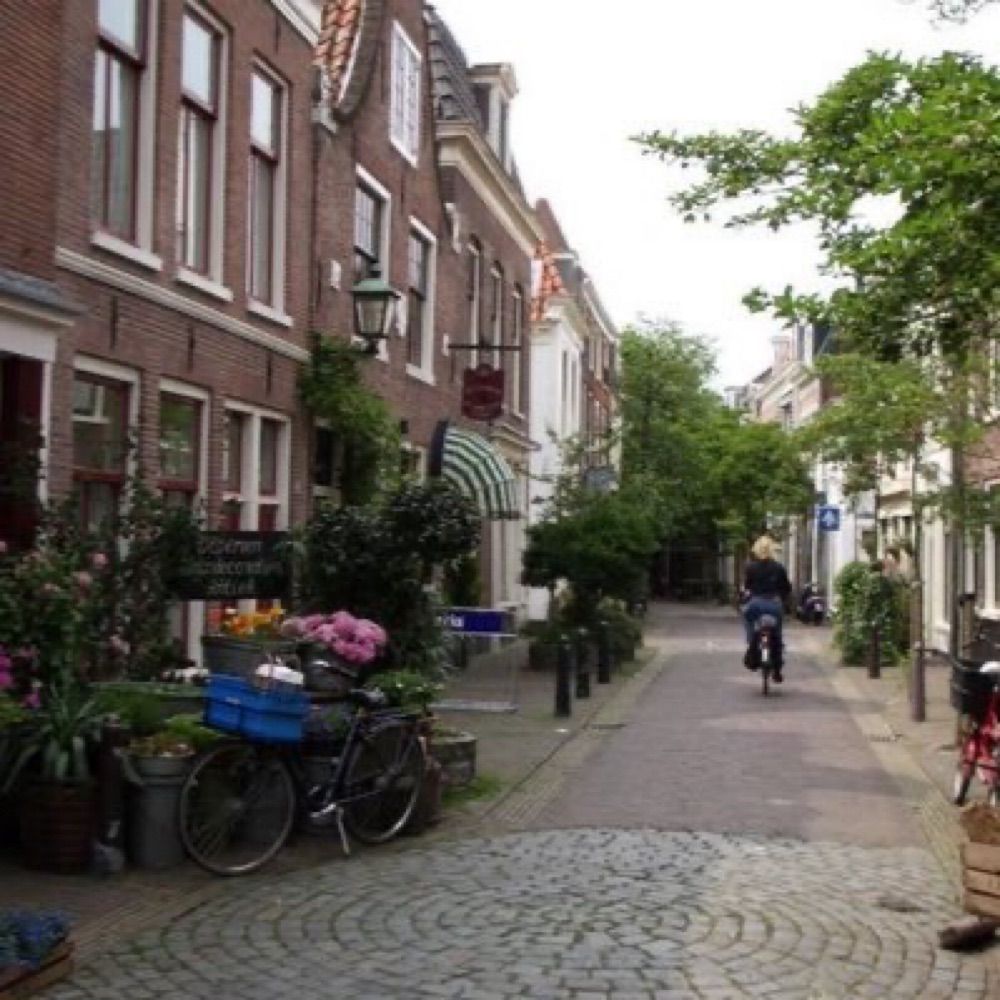 Cites are Human Habitat