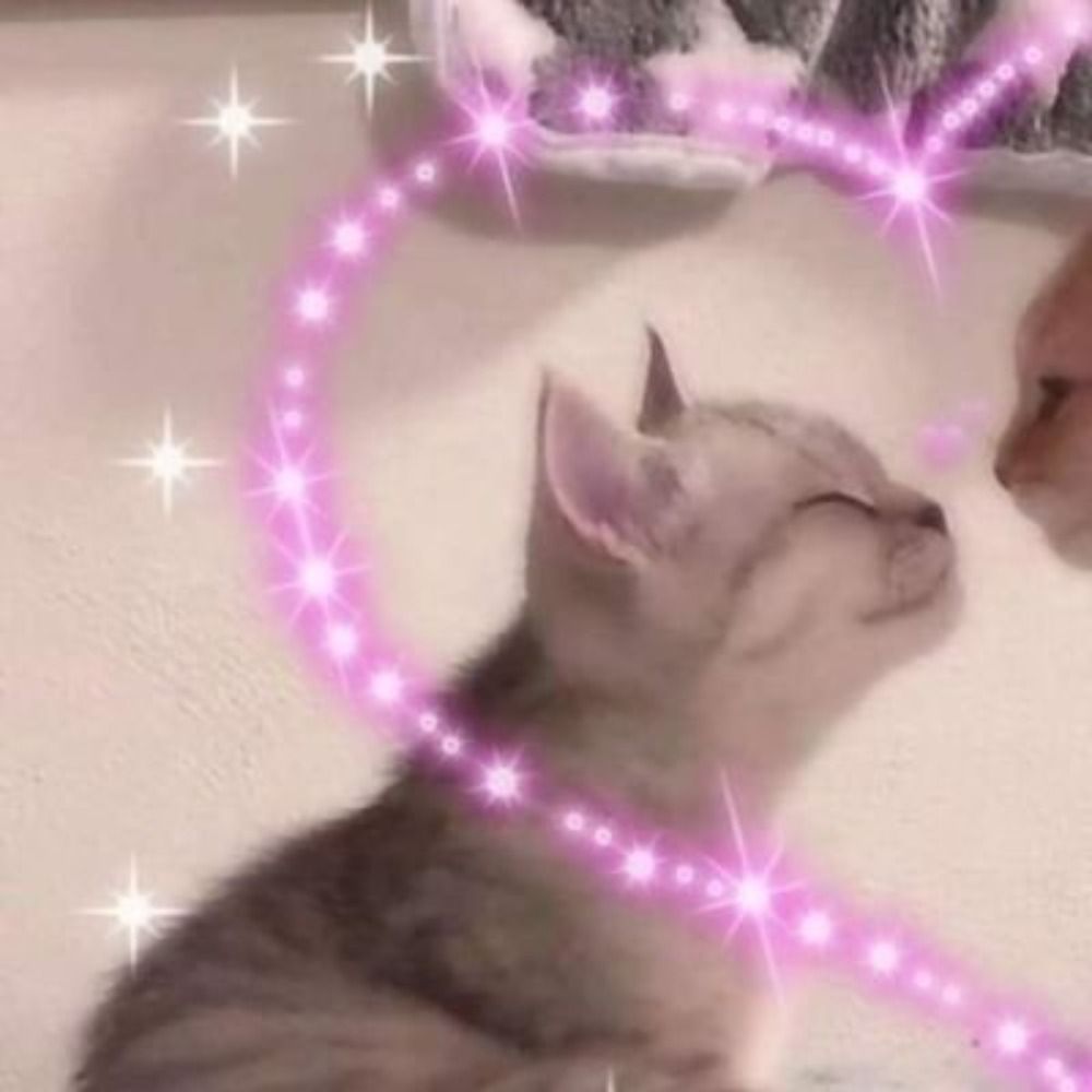 camy casada com o henry