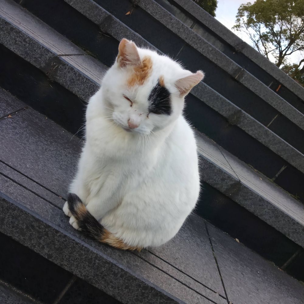 Tomohiro.Kitamoto