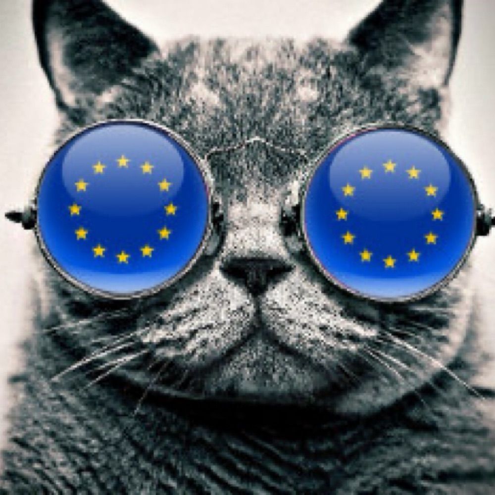 Nicky F #FBPE #Rejoin