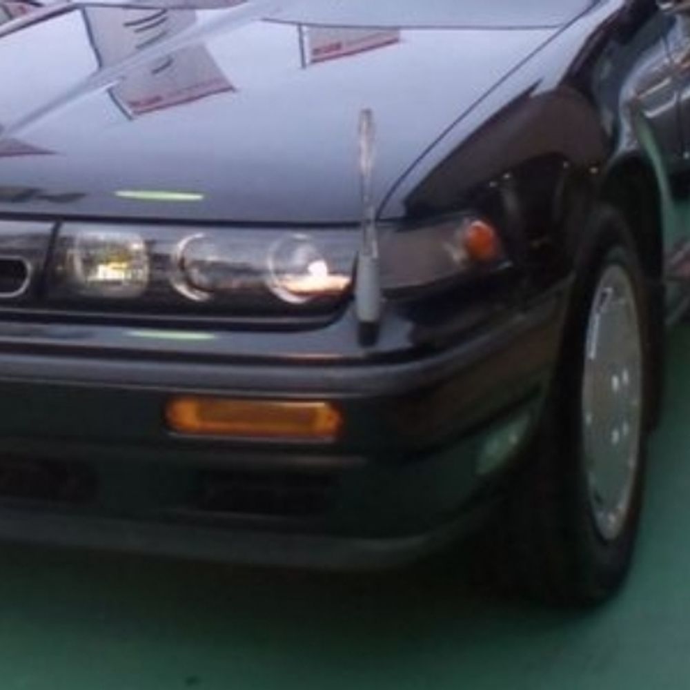 紫月