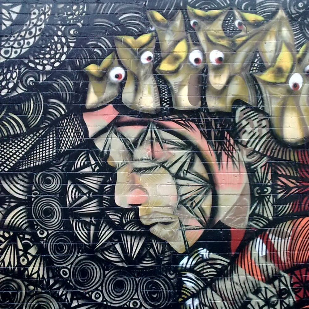 Cassie Findlay