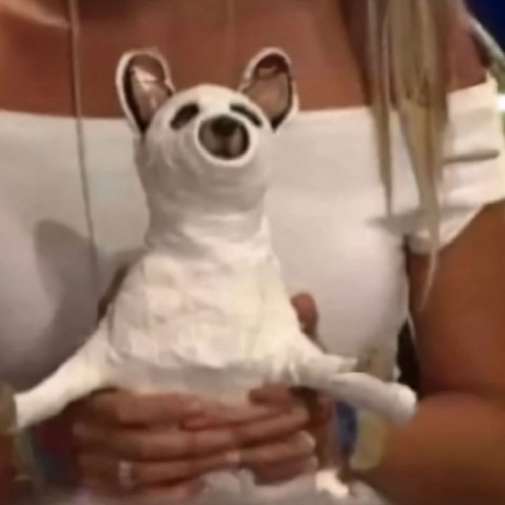 neto da vovo serena