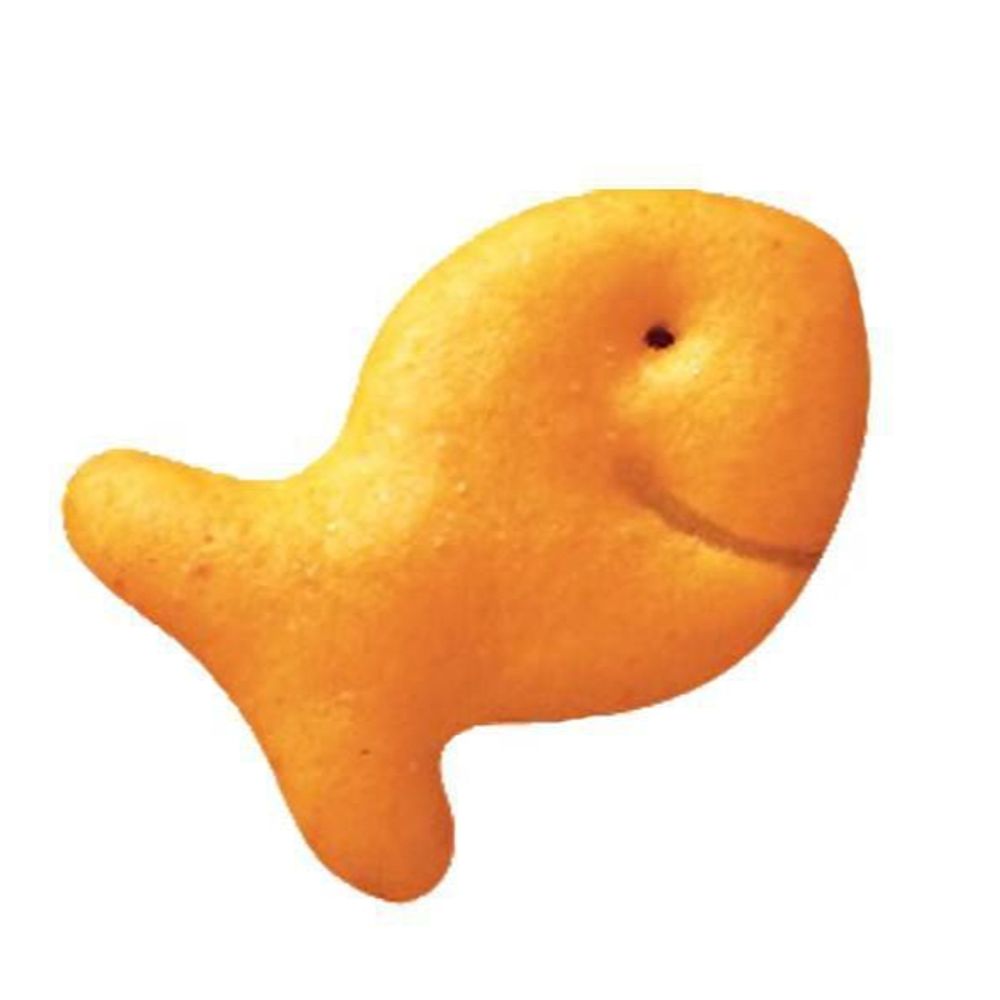 袋裝金魚