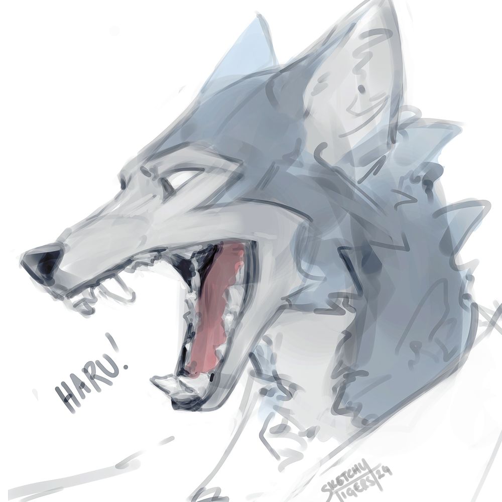 Sketchy (Comms Open)