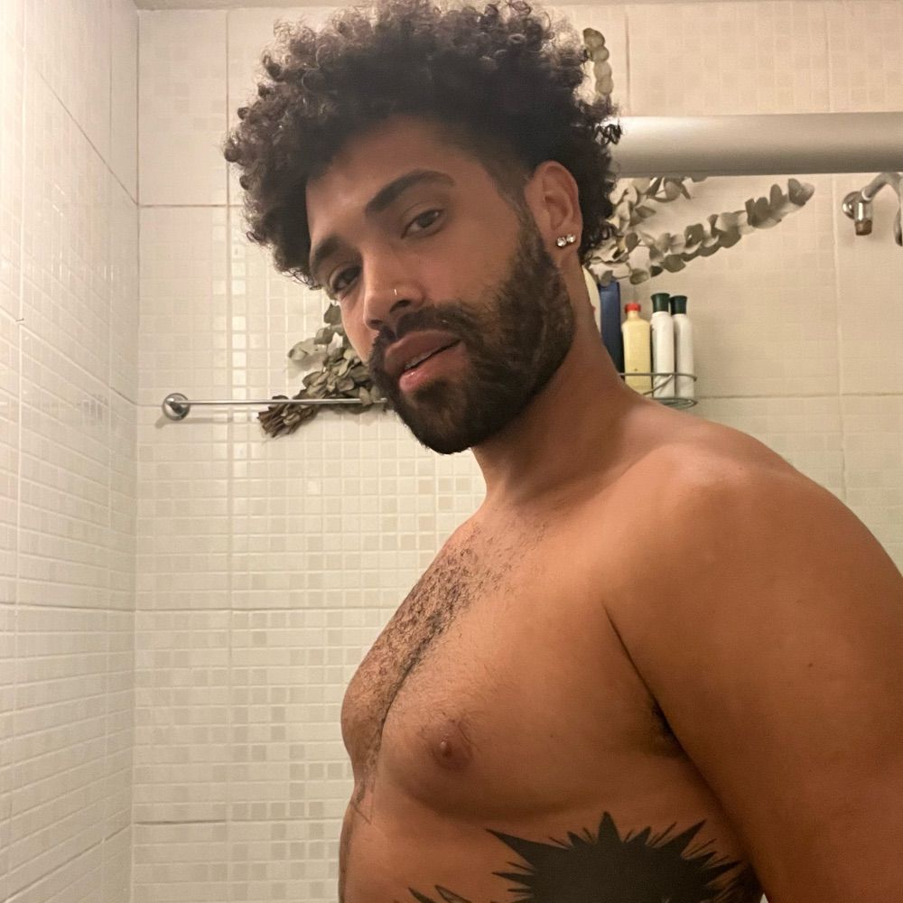 MEGATRONLUCAS