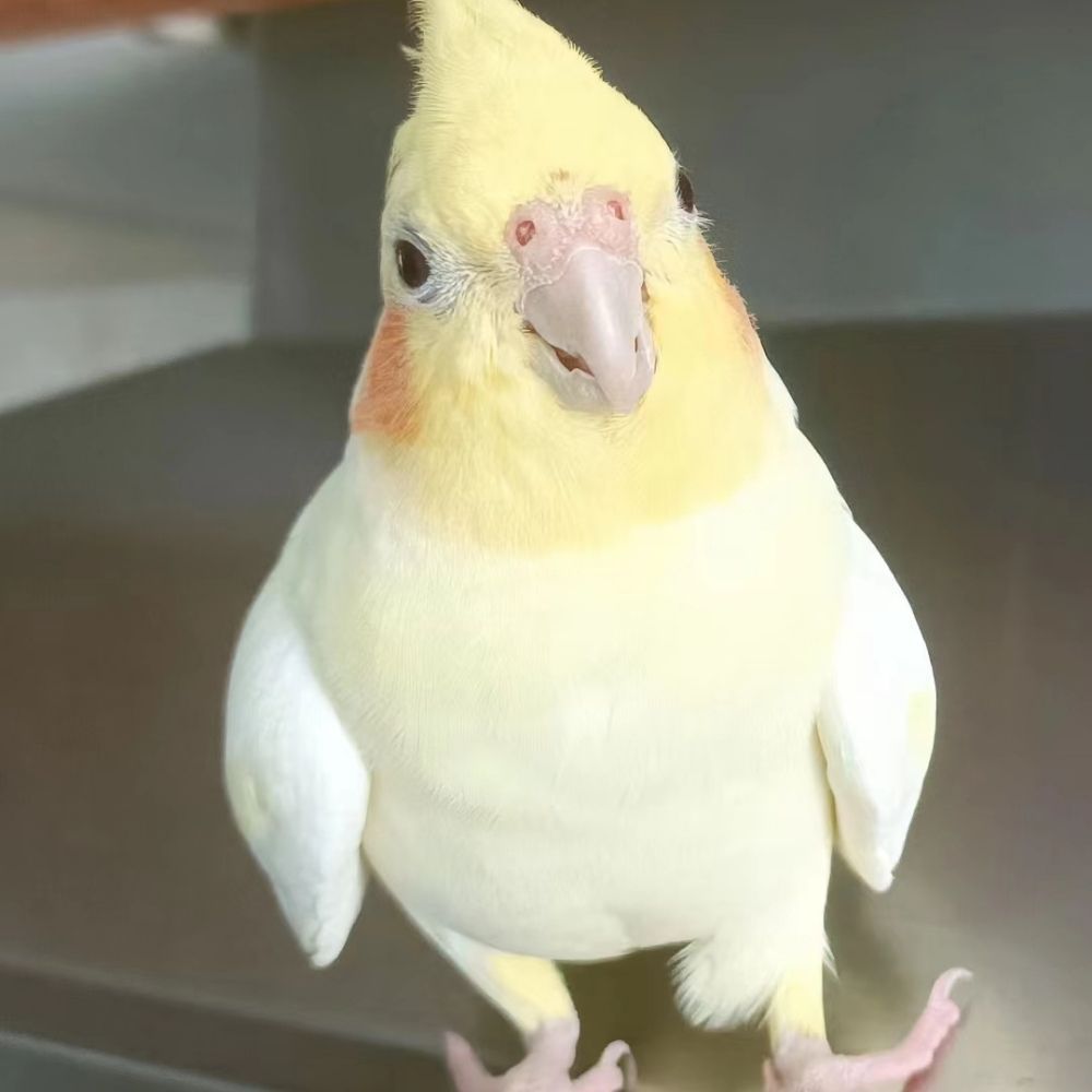 界时