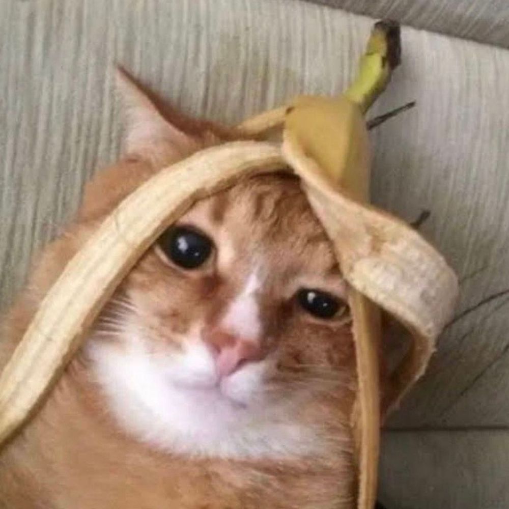 Lewdicrous