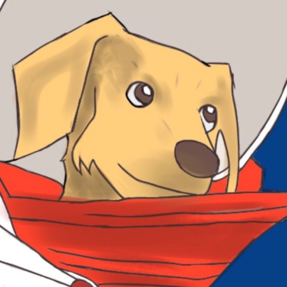 十二