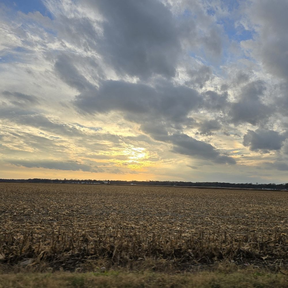 Greer