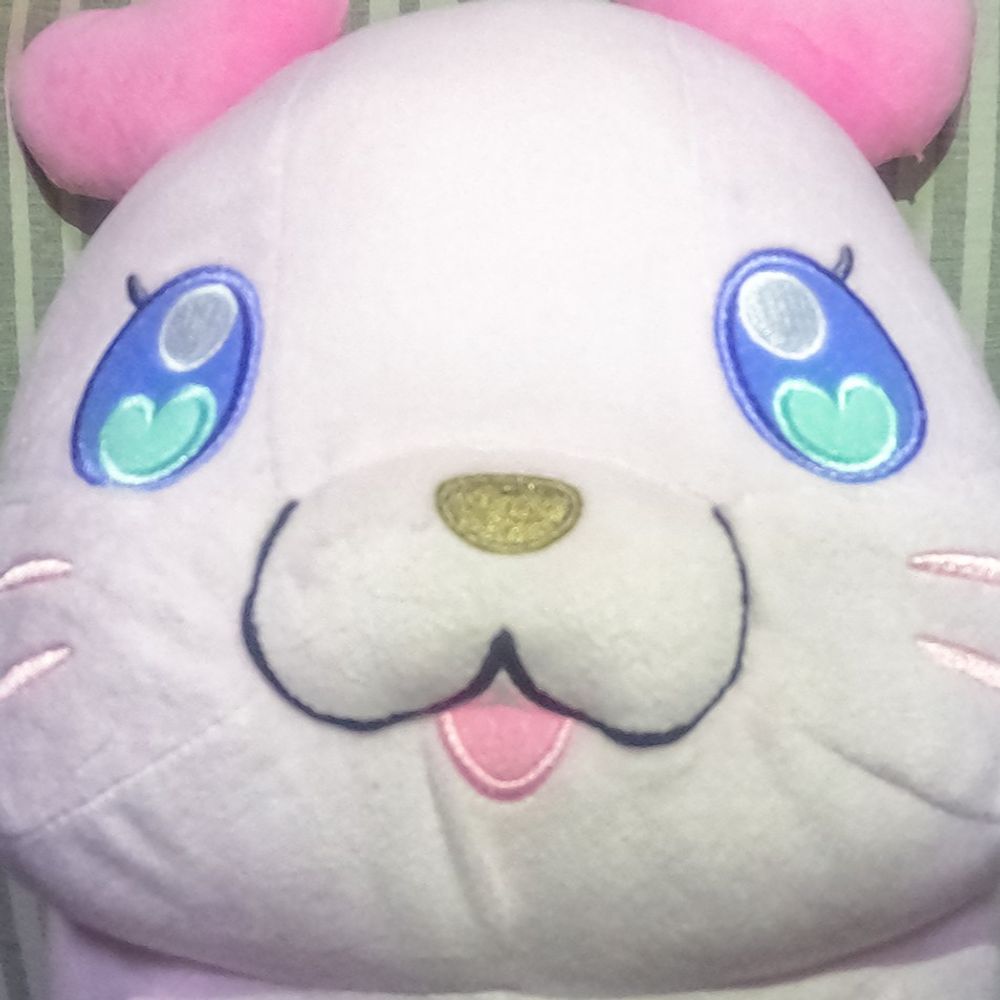 そばちゃ