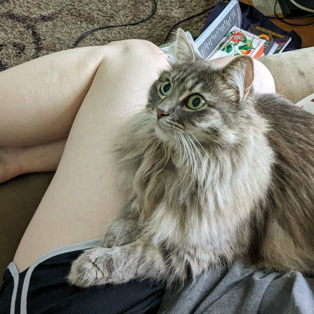 Willow