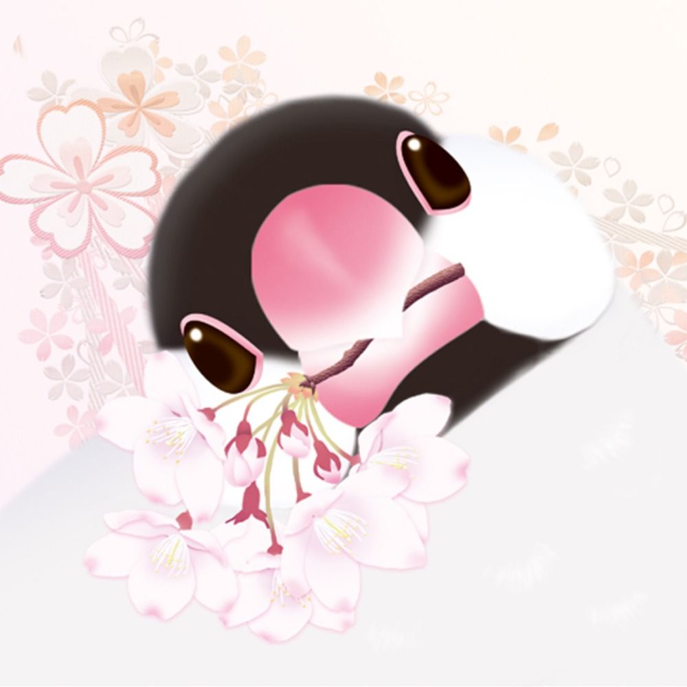 楓