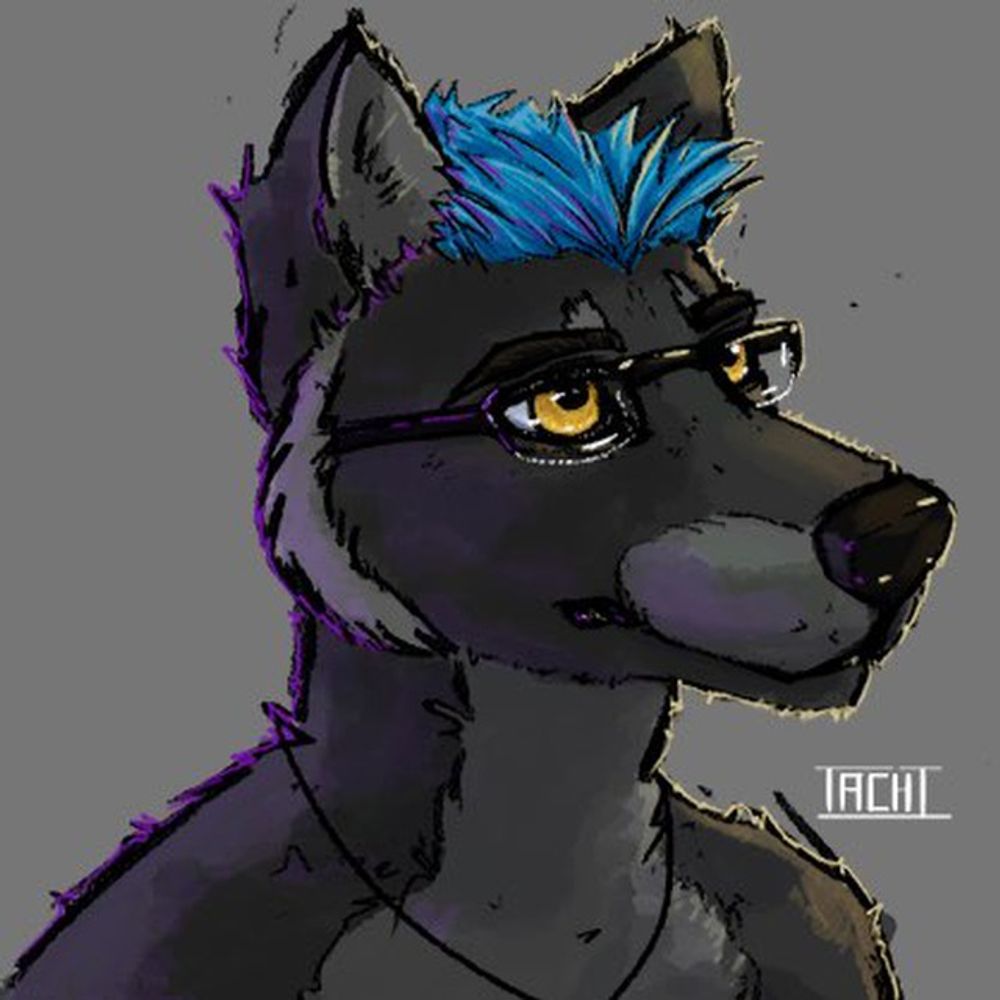 Tachi