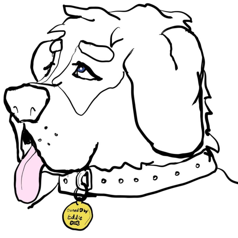 Ruff Mutt