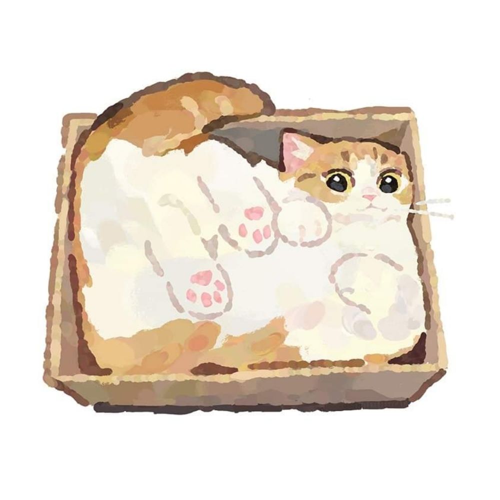 แมวอ้วนขี้เกียจ🐾