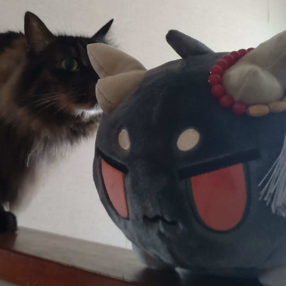 ザルソバ