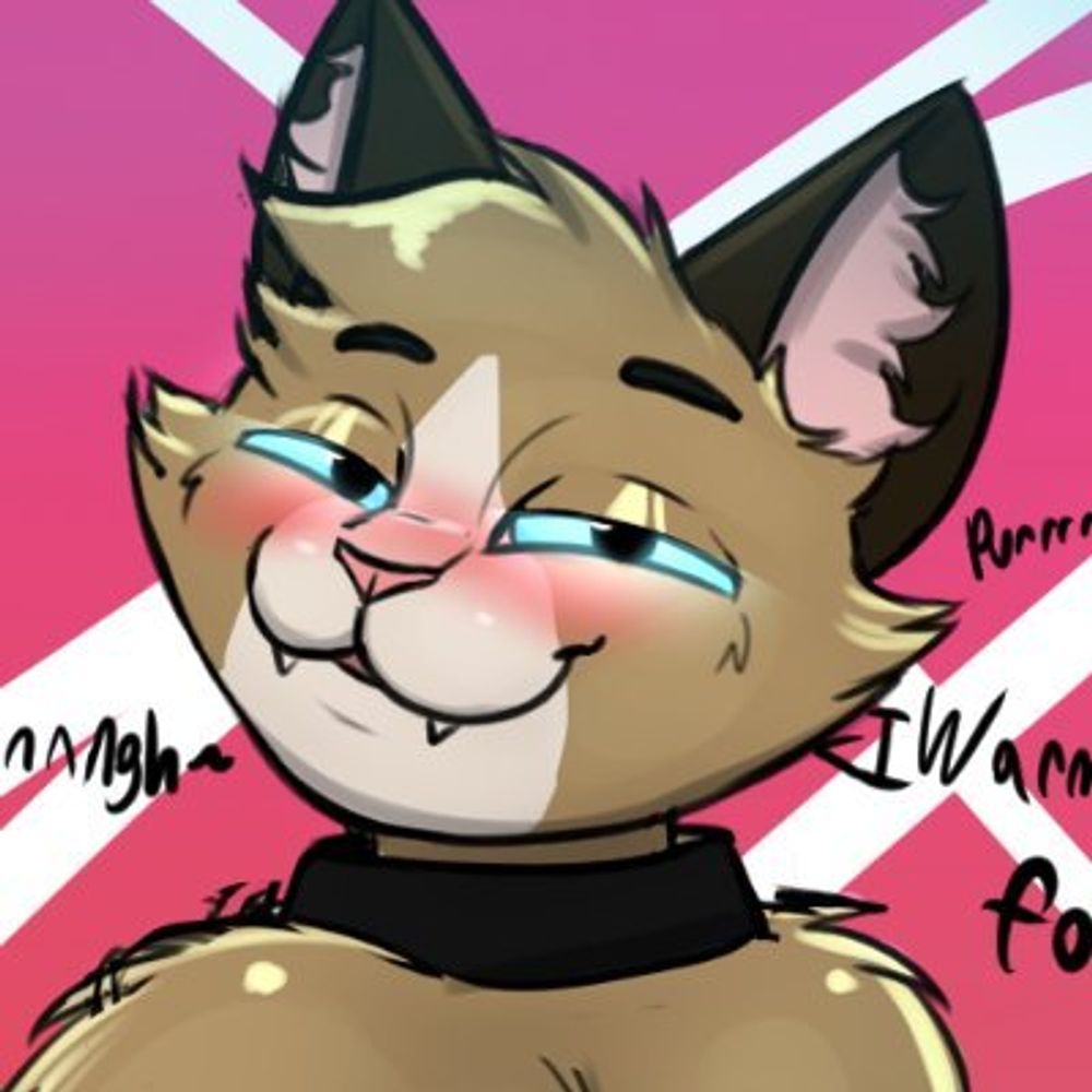 BaddestCatt