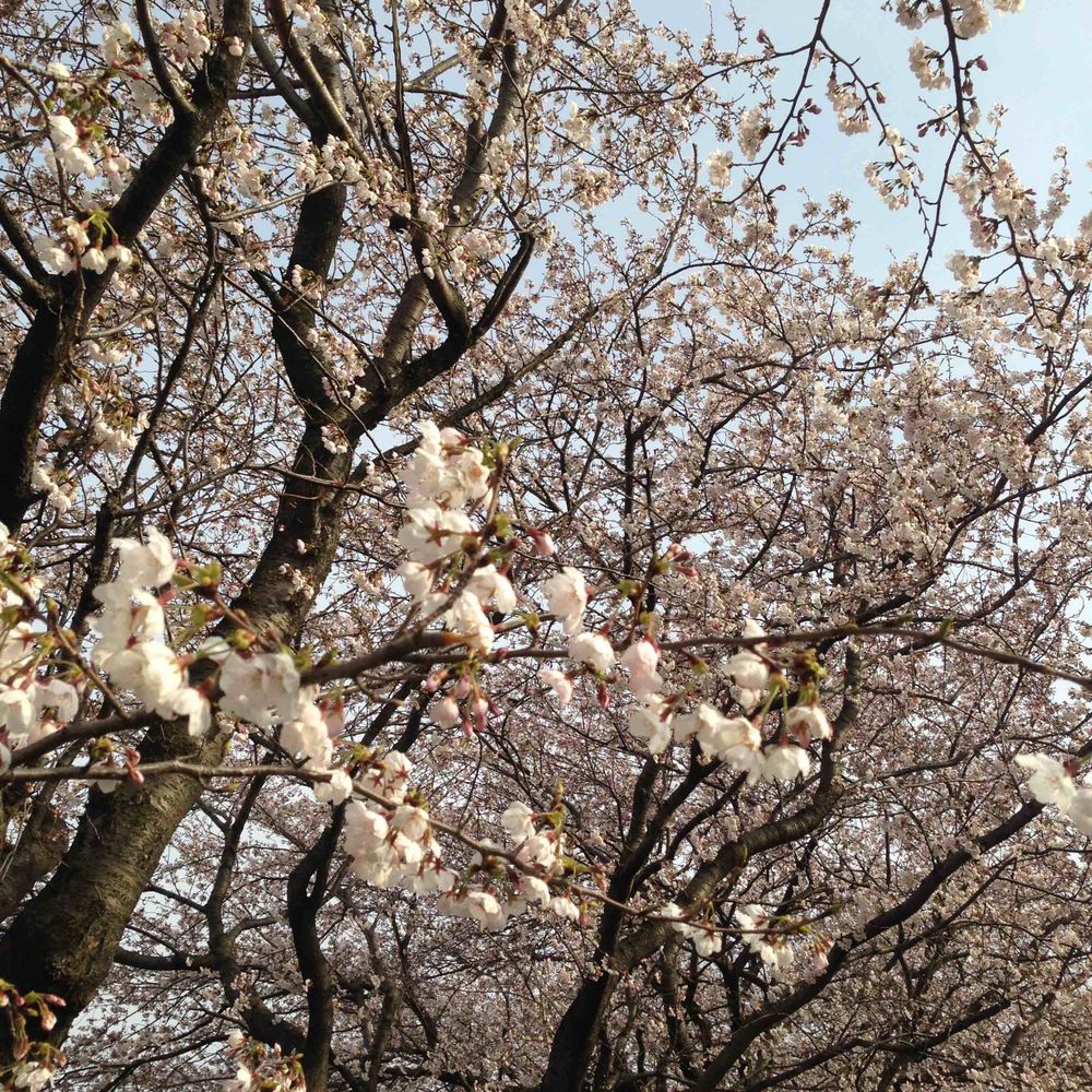 nature_uta