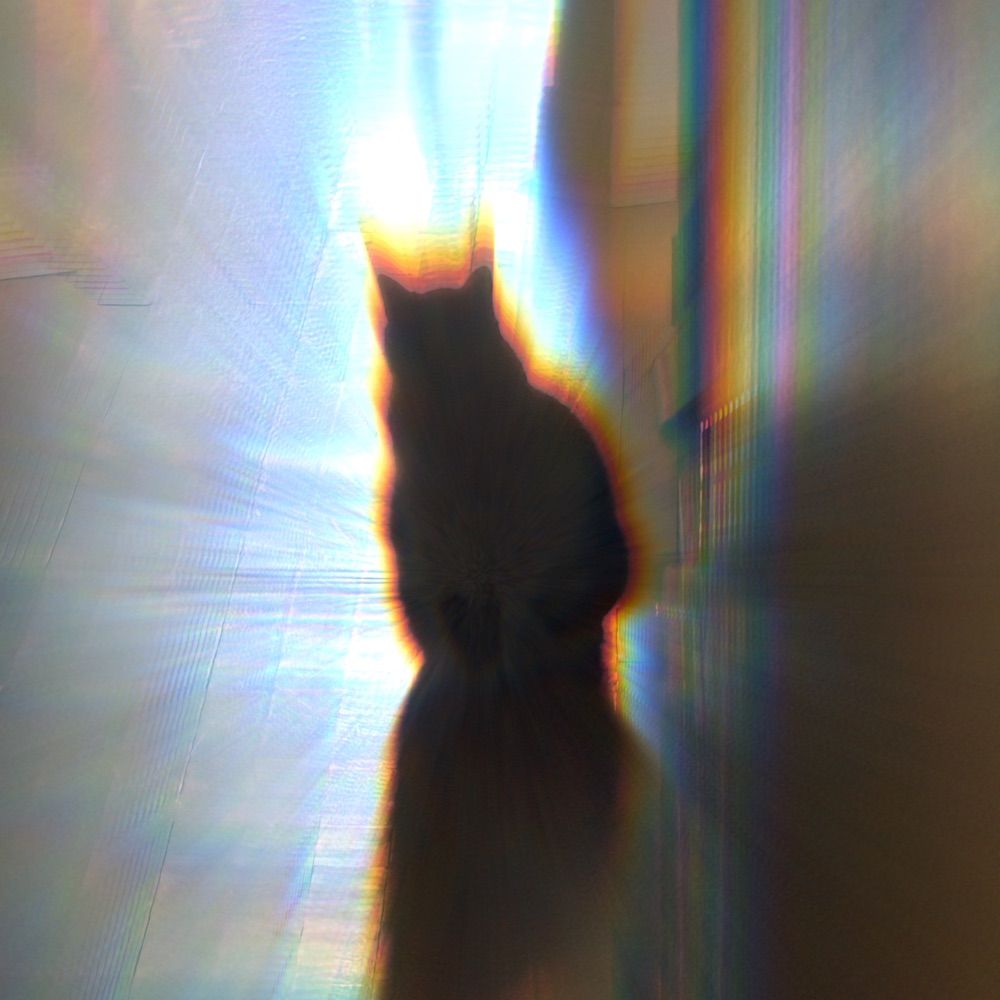 mikedotdmg 