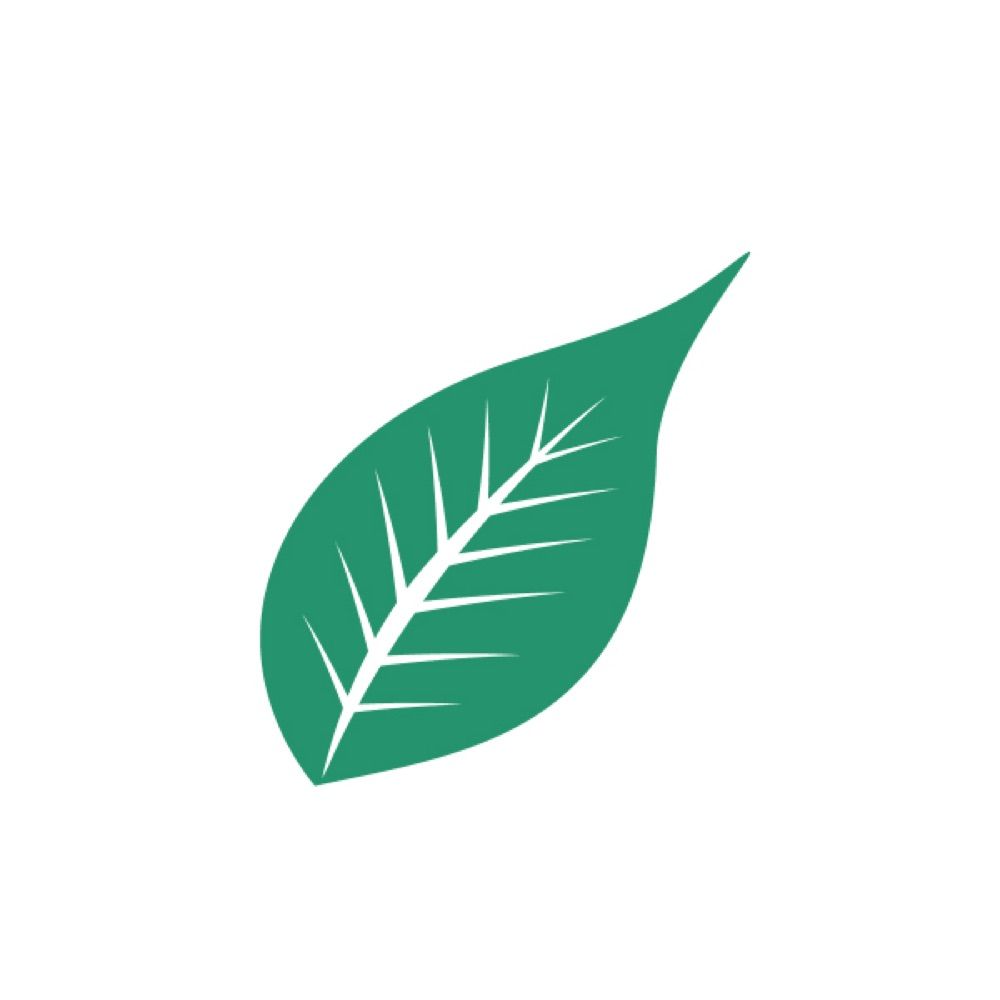 All Things Ethnobotany
