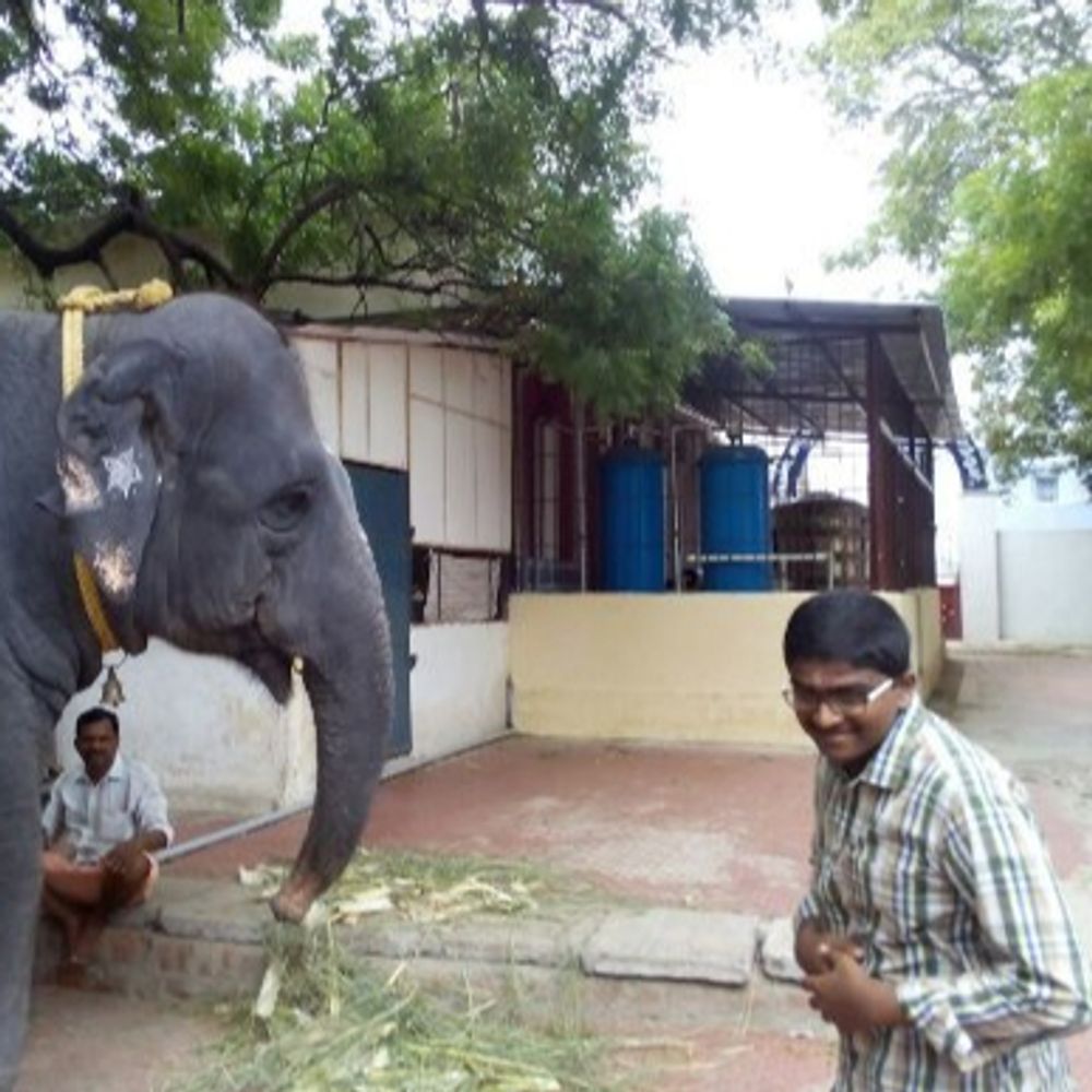 Bala Surya