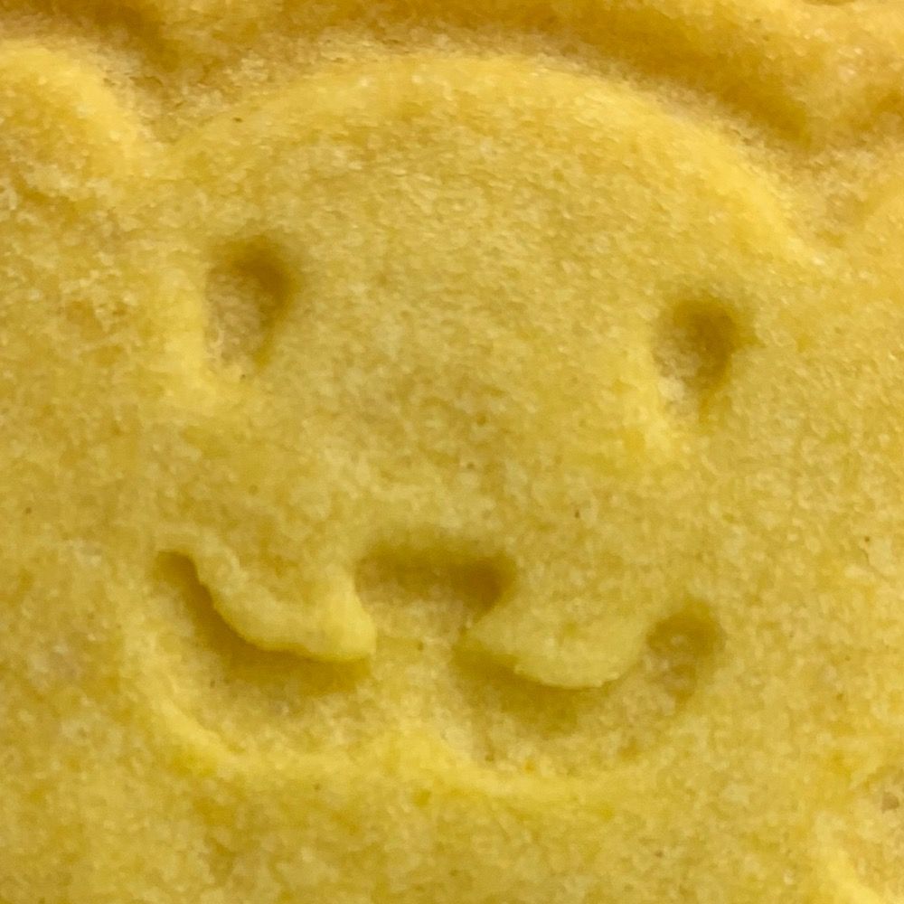 いりゆい